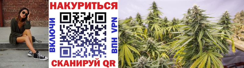 Канабис планчик  Макарьев 